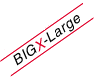BIGX-Large